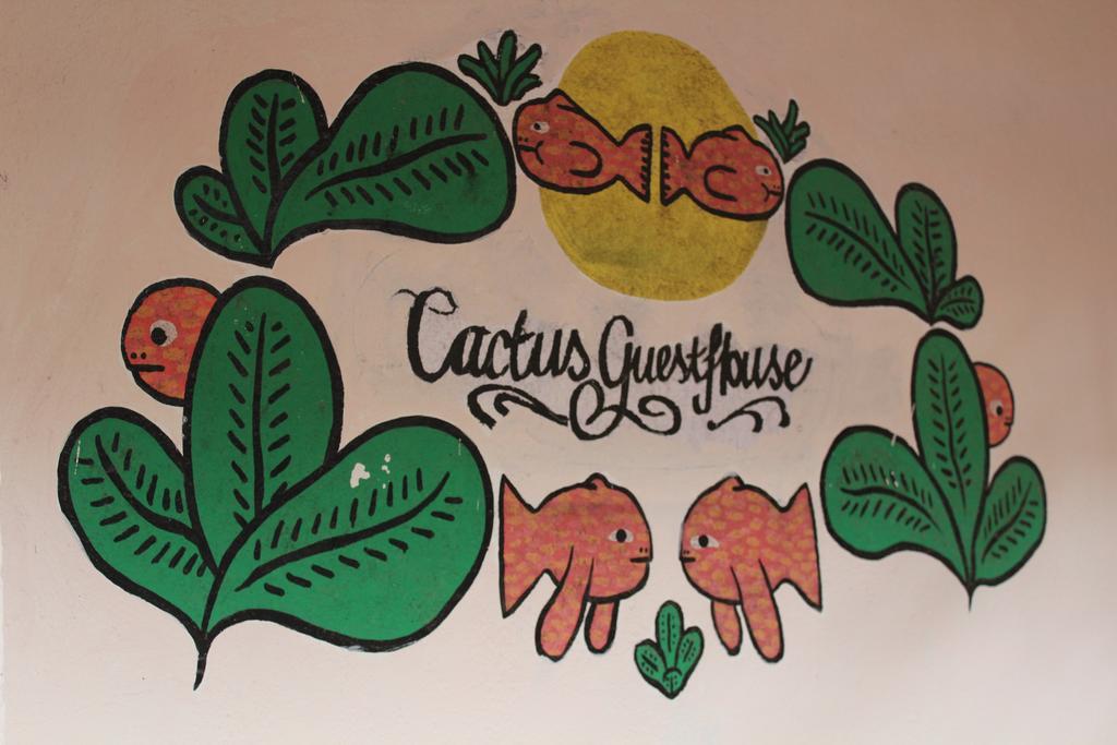 Cactus Guesthouse Arambol Kültér fotó
