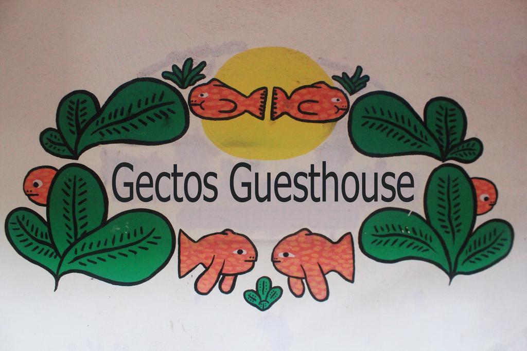 Cactus Guesthouse Arambol Kültér fotó