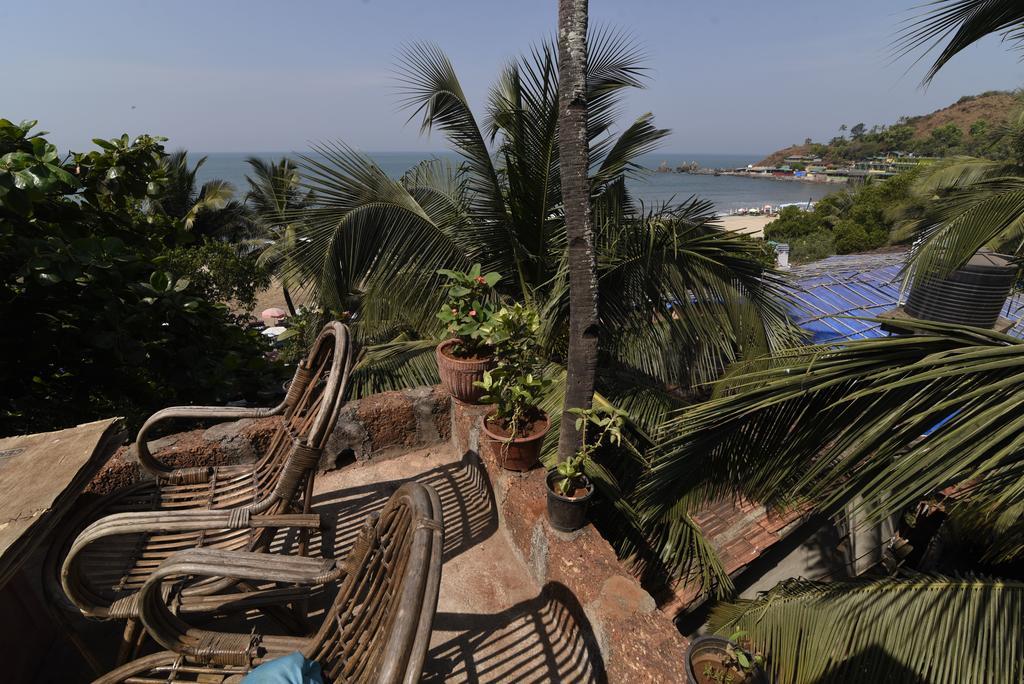 Cactus Guesthouse Arambol Kültér fotó