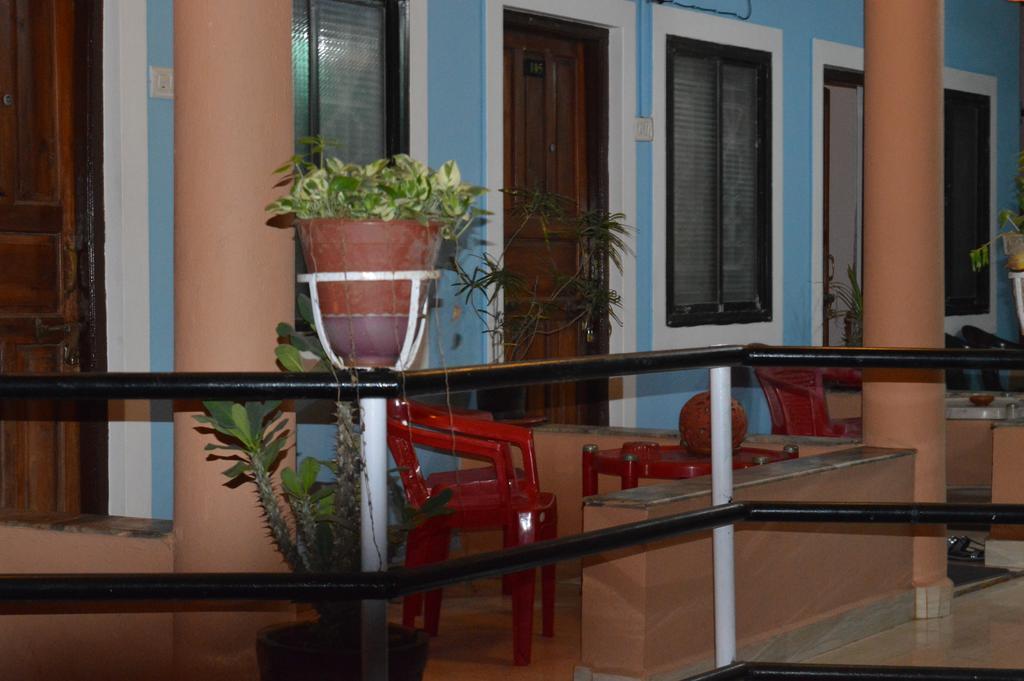 Cactus Guesthouse Arambol Kültér fotó
