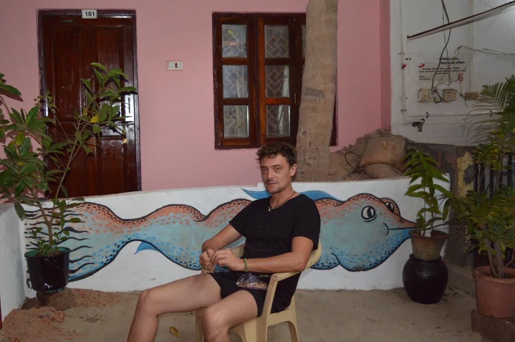 Cactus Guesthouse Arambol Kültér fotó